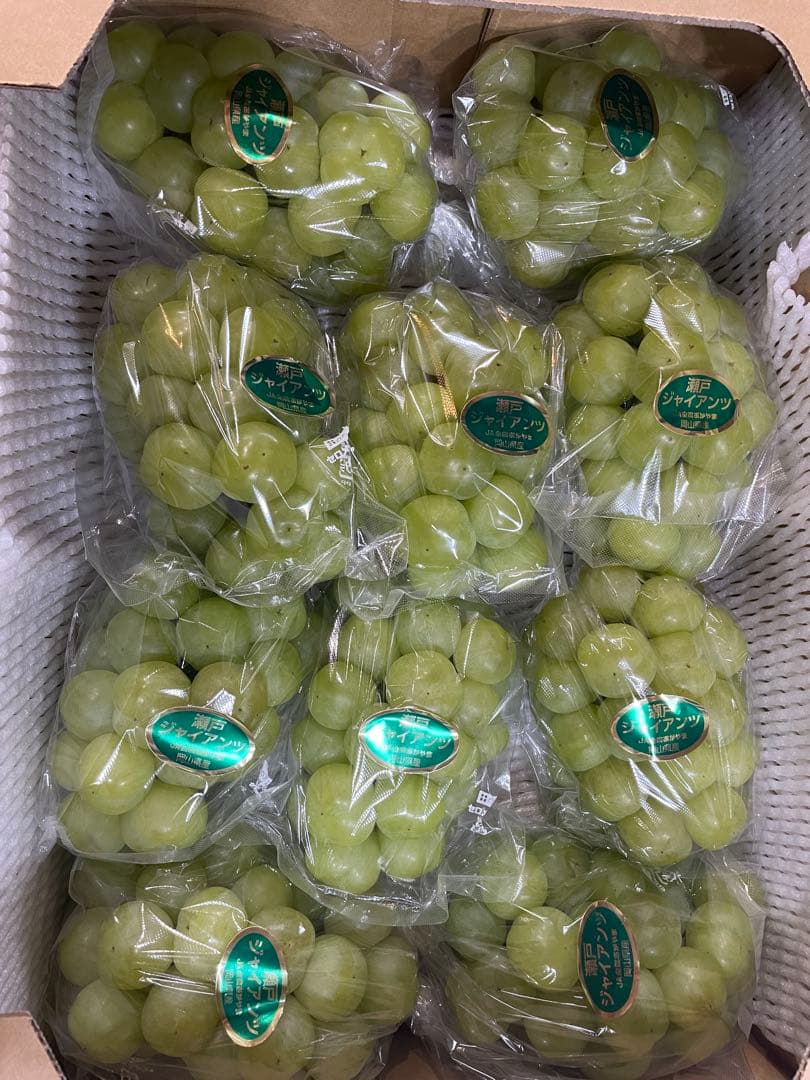 ④【岡山県産】瀬戸ジャイアンツ　7〜12房　約5キロ