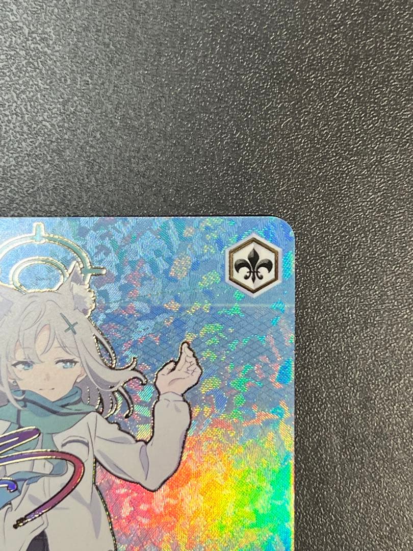 対策委員会シロコ SEC 箔押しサイン付き