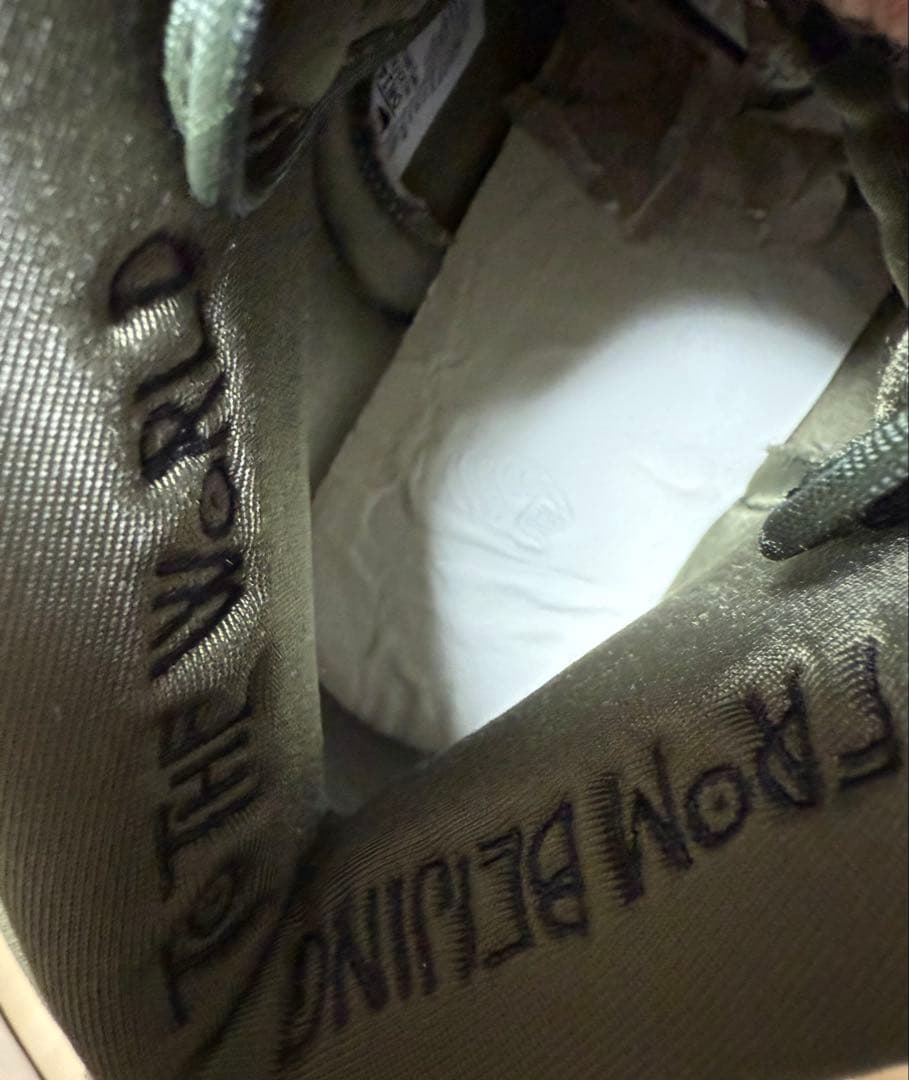 スケートボード NIKE DUNK HI 28.5cm (dr1415-200)