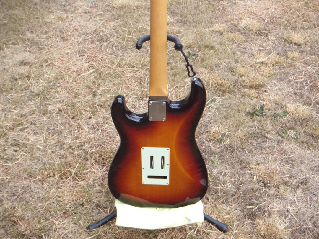 Fujigen NST 200 ラッカー　マダガスカルローズ　ダンカン