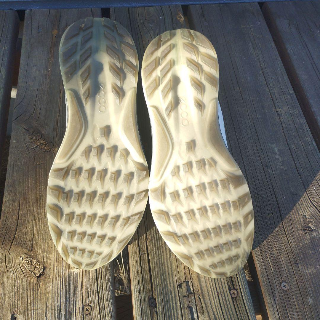 エコー C4 BOA ゴルフシューズ 25.5cm　着用1回の美品