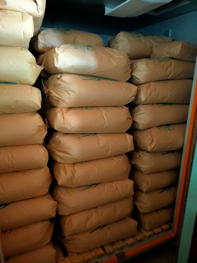 農家直送　20キロ　玄米　令和7年産コシヒカリ③