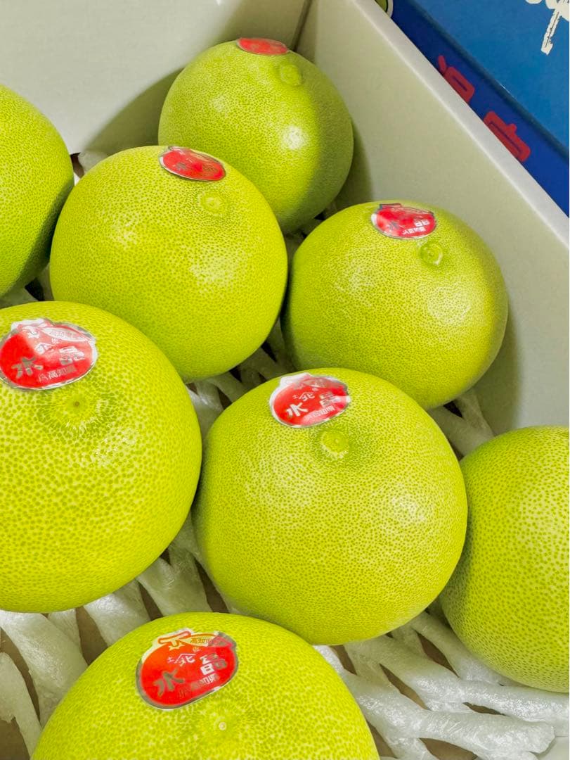 33高知特産 水晶文旦 8～6玉入 約3kg ×4箱文旦 産地直送 送料無料