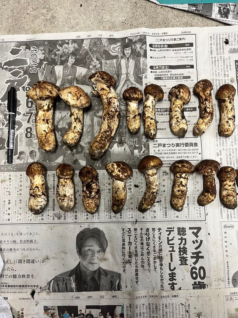 岩手県産松茸　最終値下げ