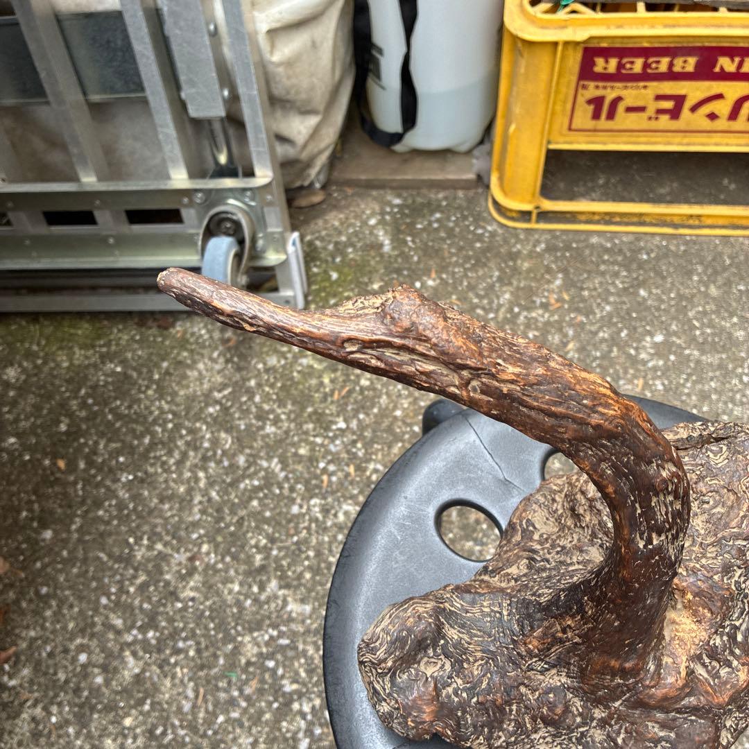 縁起物 ビンテージ木製置物 自然