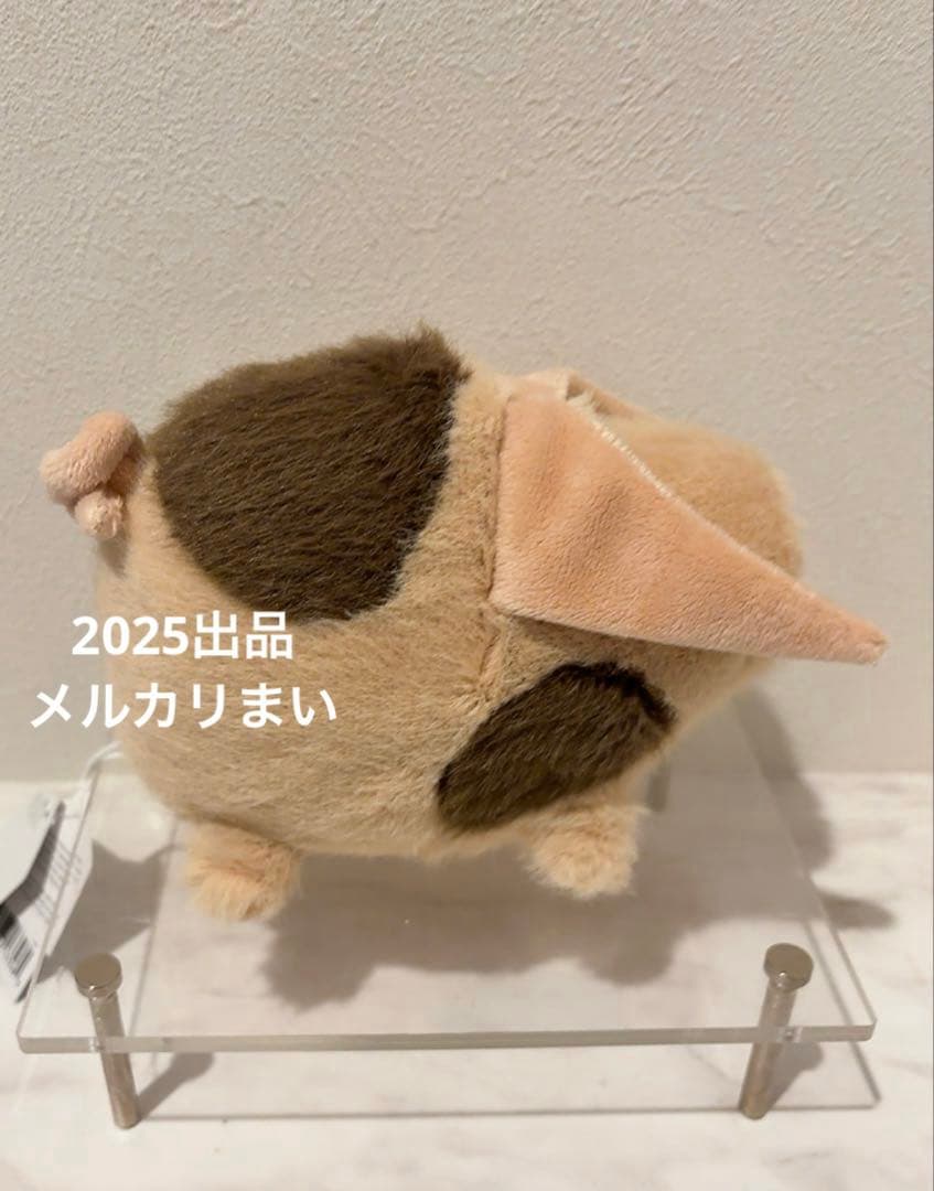  Old Spot Higgledy Piggledy ブタ S