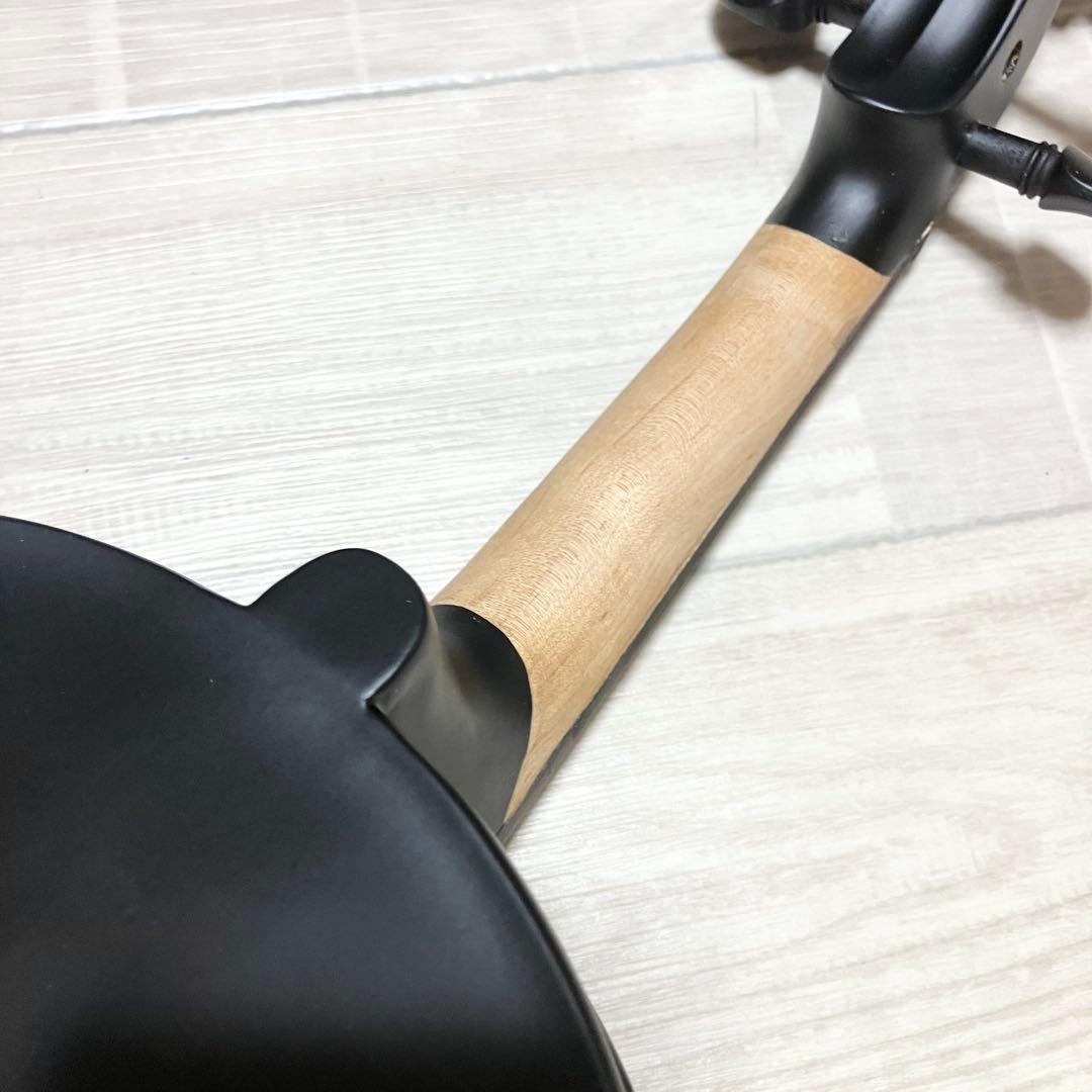 美品 hallstatt ハルシュタット CV-210E エレキバイオリン 黒