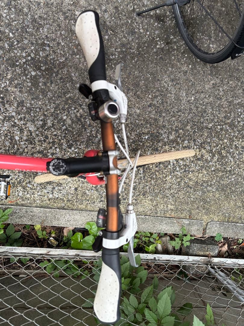 ルイガノ　シャッセ