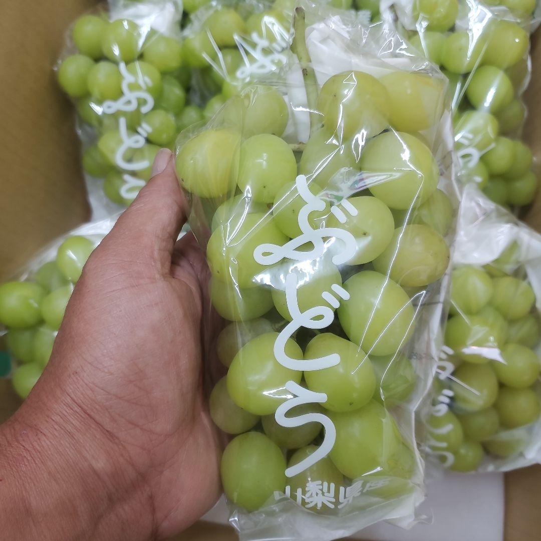 1⃣4️⃣ 山梨県産 シャインマスカット １０房入り 箱込み5.3キロ