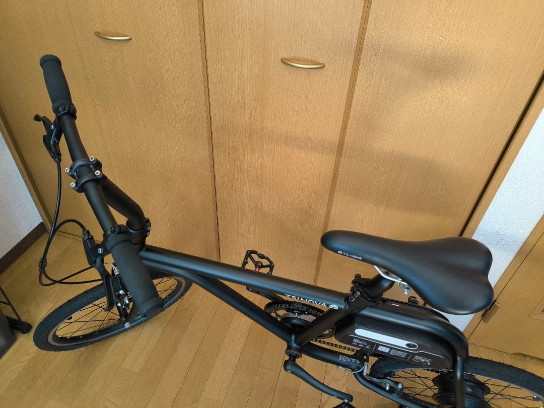 TSINOVA 電動アシスト自転車 20インチ ブラック