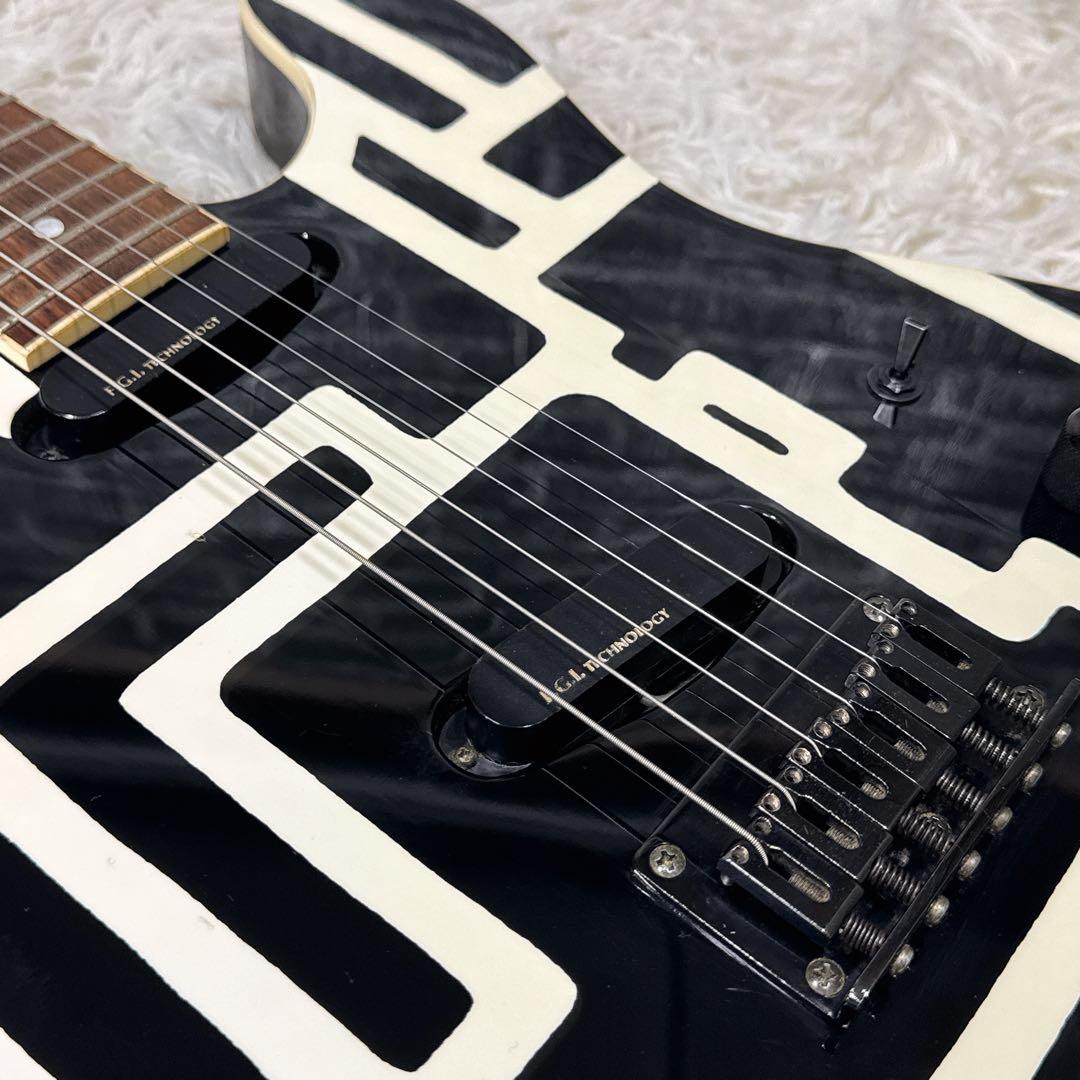 FERNANDES TE-95HT 布袋寅泰モデル G柄ストラップ付き！