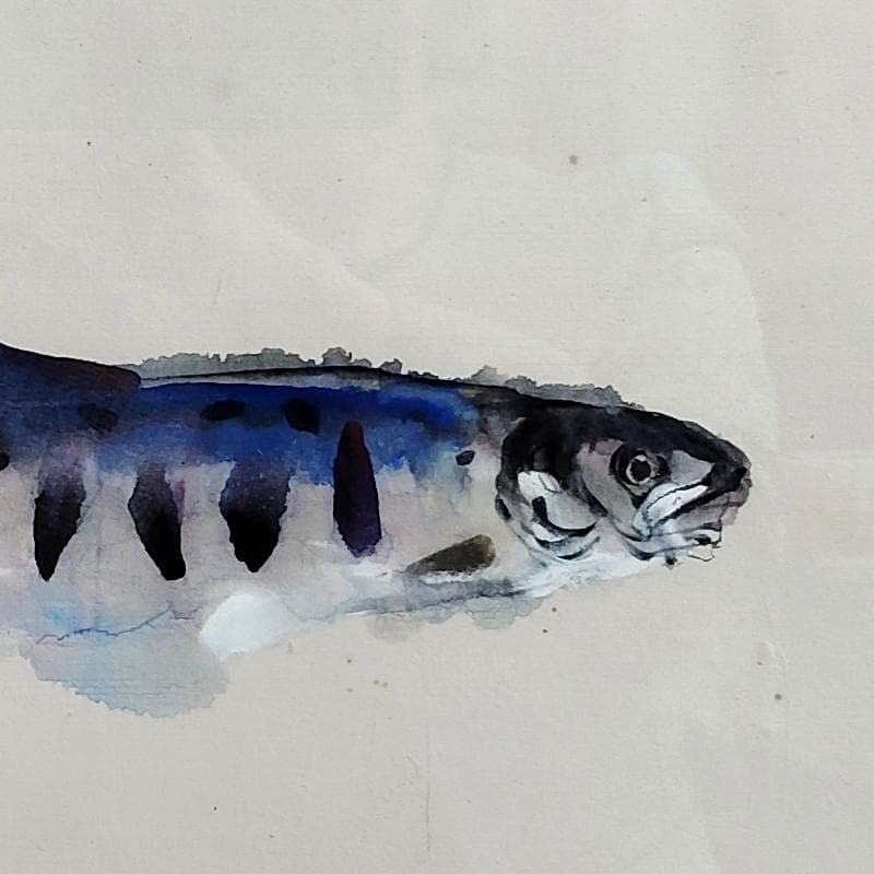 ☆上野山清貢☆　「やまめ」　水彩画　◇帝展特選・北海道新聞社文化賞◇
