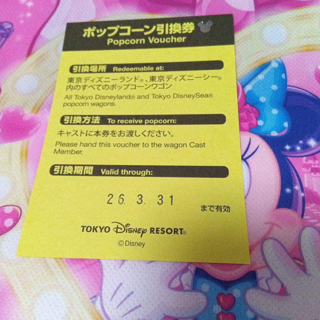 nana！ミニーパルパルーザファンダーランドポップコーンバケット引換券付