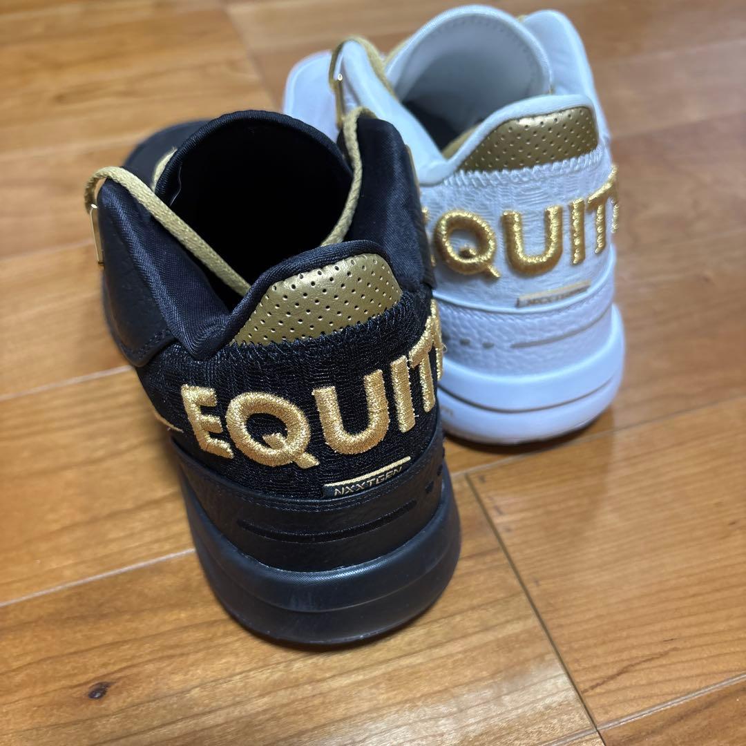 NIKE zoom LeBron バスケットボールシューズ ホワイト/ブラック