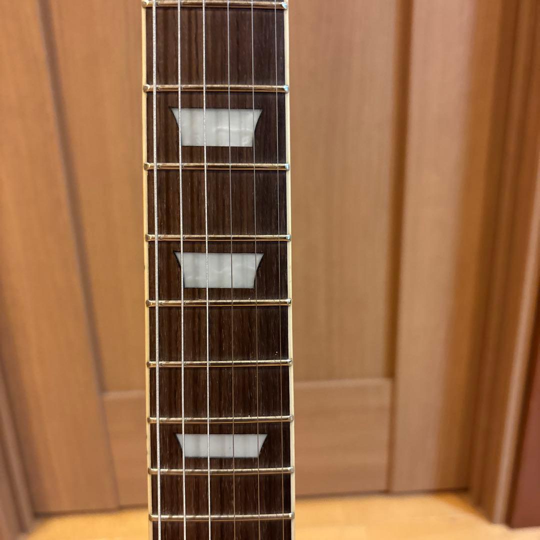 LEGEND by Aria Pro II レスポールタイプ