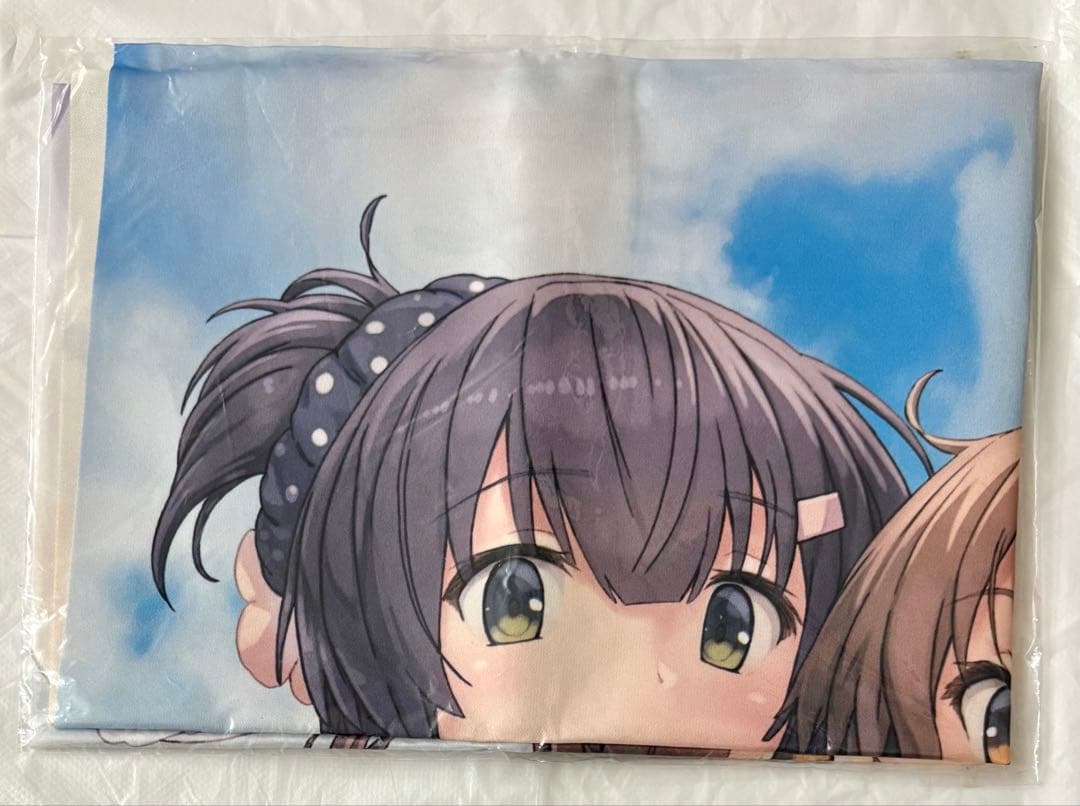 Blu-ray 刀使ノ巫女 ソフマップ 全巻購入特典 B2布ポスター