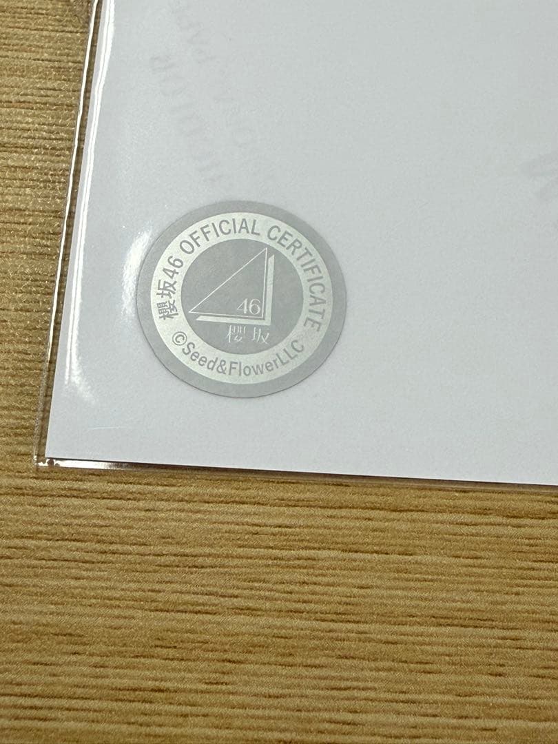 櫻坂46 直筆　生写真　武元唯衣　サンタ衣装　2025年　ヨリ　サイン