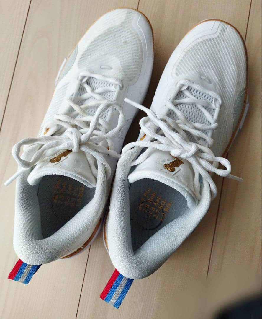 【駆け抜けろ！】LI-NING(リーニン)Wade Shadow 6/勝利の道