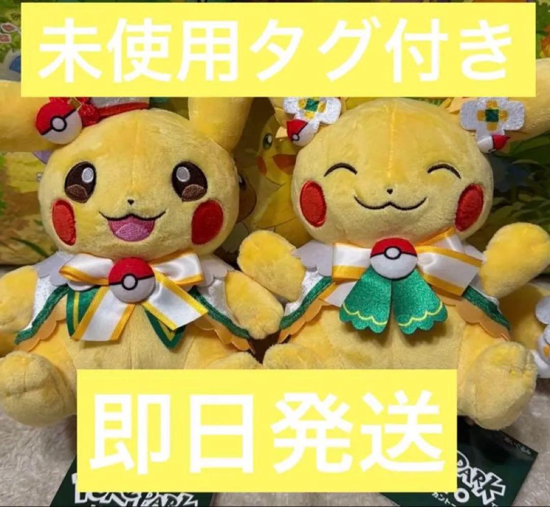 ポケパーク カントー ピカチュウ ぬいぐるみ