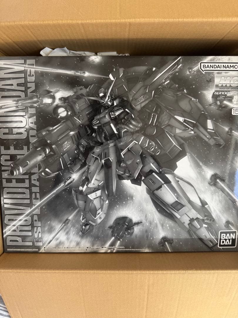 MG プロヴィデンスガンダム　スペシャルコーティング