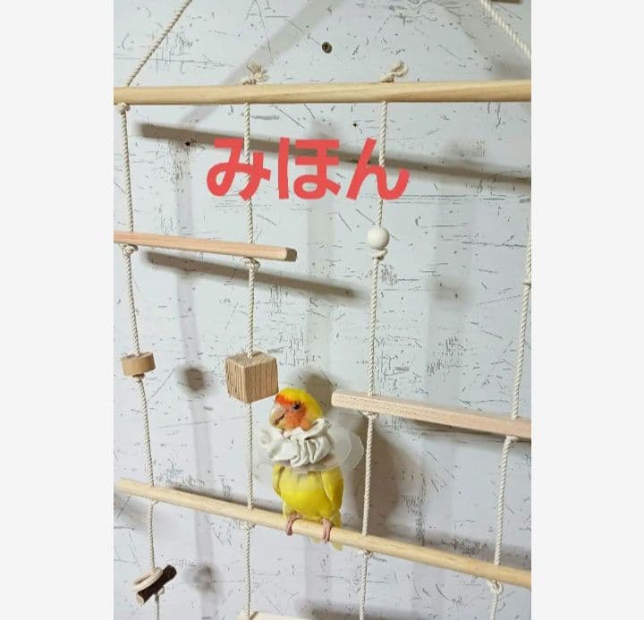 10　インコ　吊り下げアスレチック(大)　ブランコ　止まり木　バードトイ