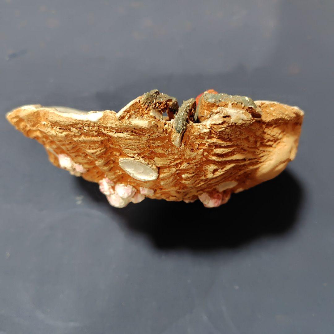 水月焼き・アワビ型蟹皿