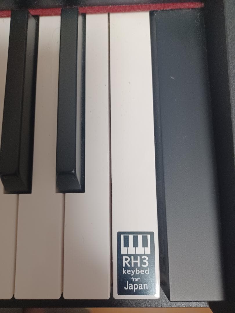 korg D1 電子ピアノ　ペダル付き　2022年モデル