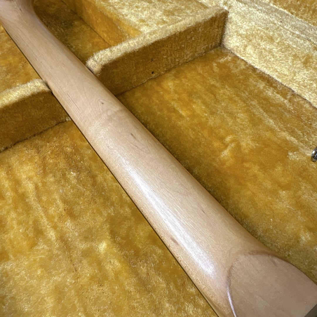 90's アイバニーズ　Silver Cadet