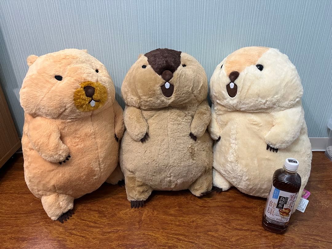 マーモットのもっとっとモア　ウルトラBIGぬいぐるみ　３点セット