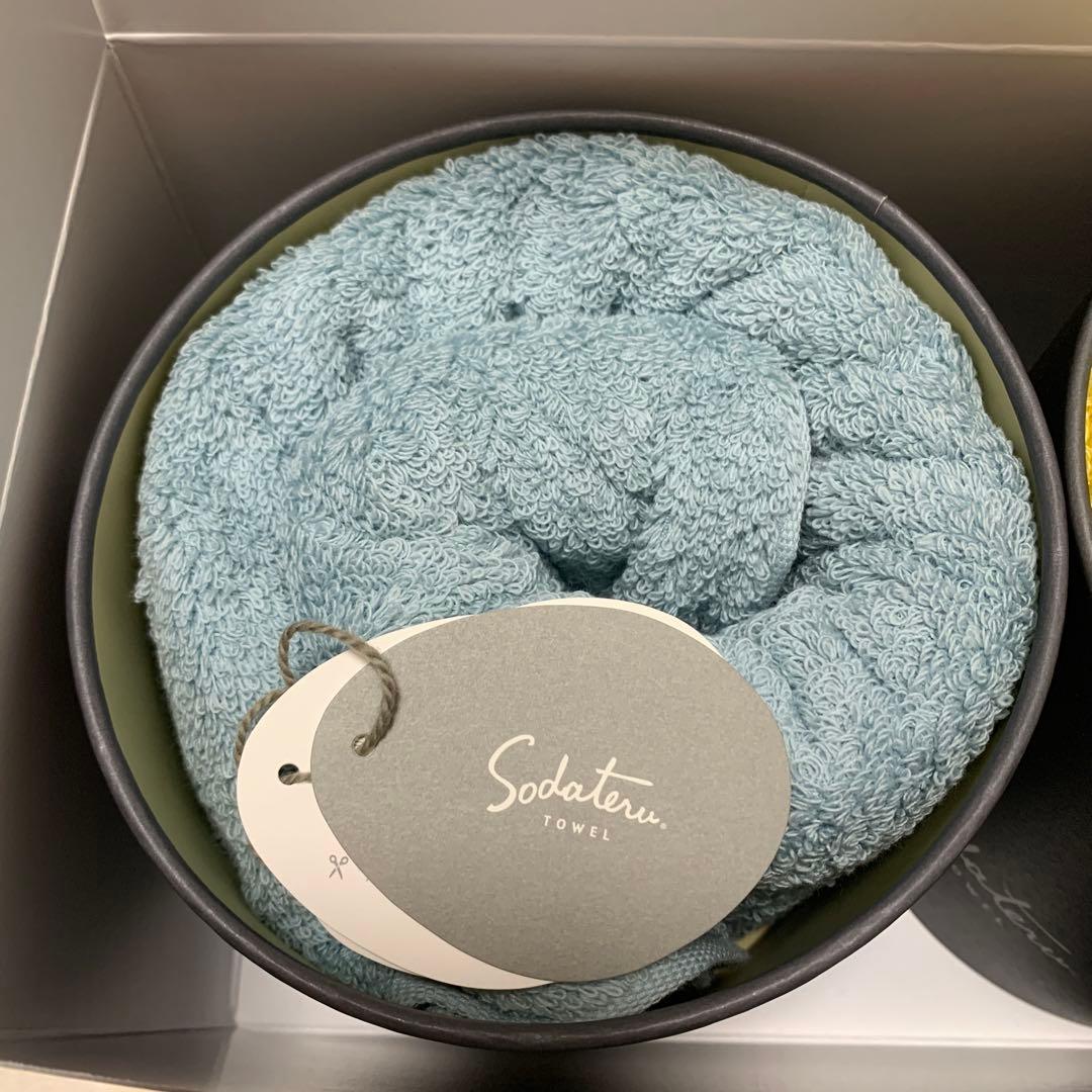 【新品未使用】育てるタオルfeelバスタオル　2枚