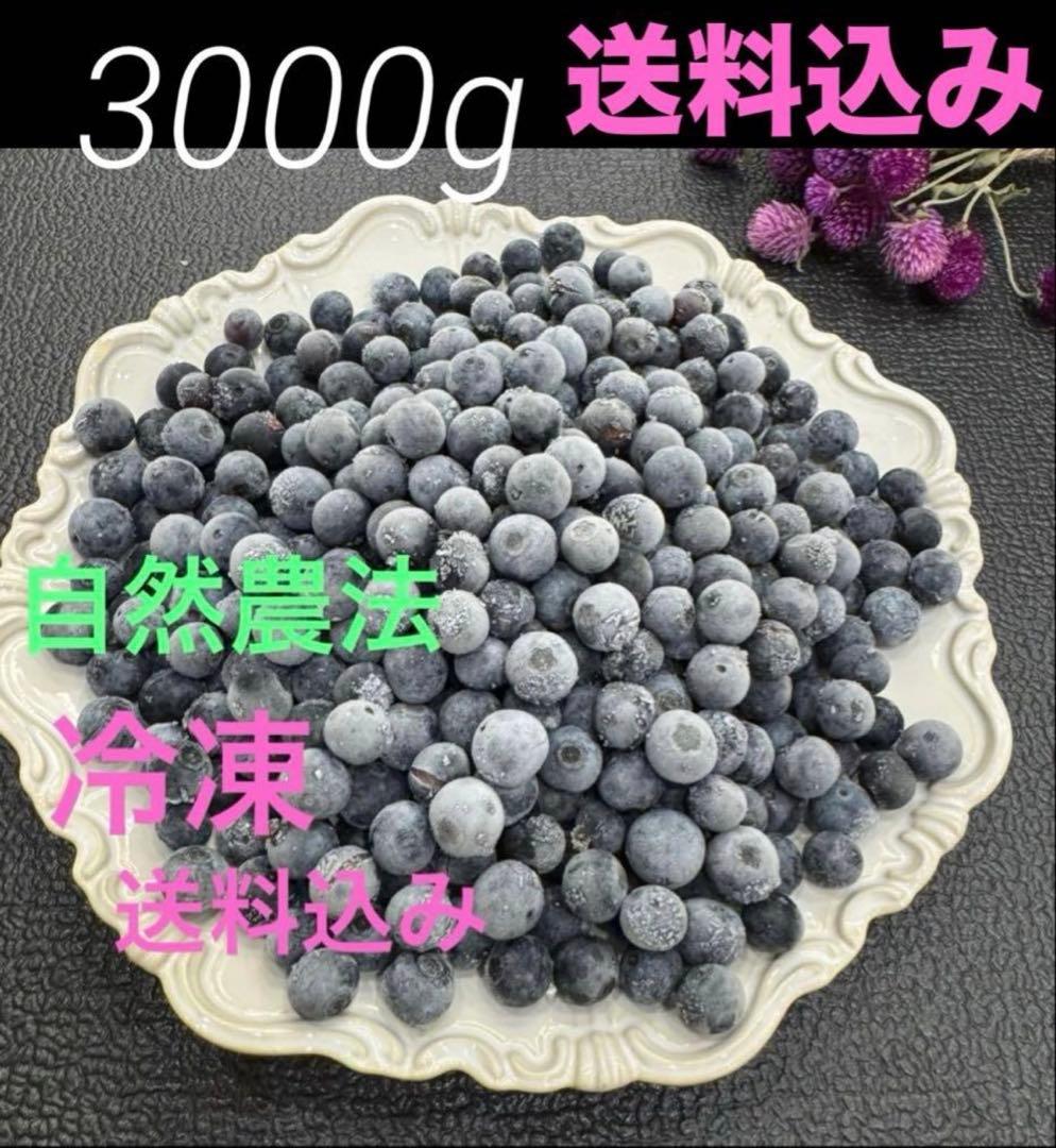 自然農法 冷凍ブルーベリー 3000g