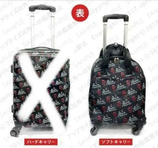 Acid Black Cherry　グッズ