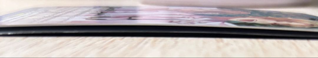 HoneyWorks ハニワ ヴァイスシュヴァルツ ブラウ 芹沢美桜 芹沢春輝