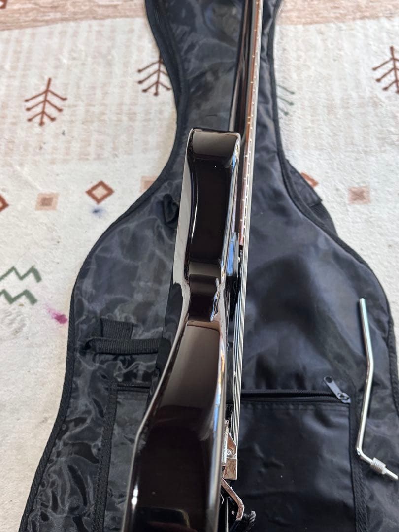 美品　GrassRoots G-LP-49 です。