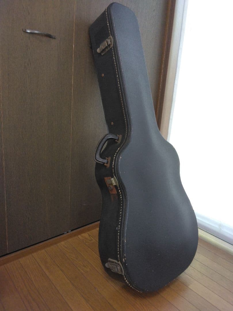 Eastman(イーストマン)　ジャズギター　フルアコ