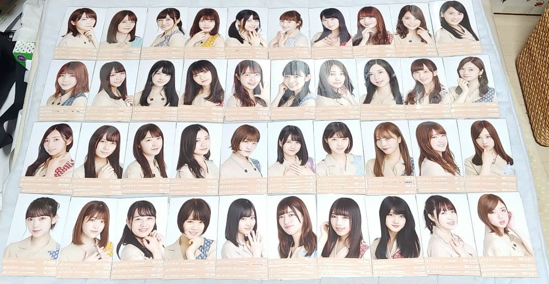 乃木坂46生写真スペシャル衣装14フルコンプ西野七瀬白石麻衣齋藤飛鳥与田祐希他