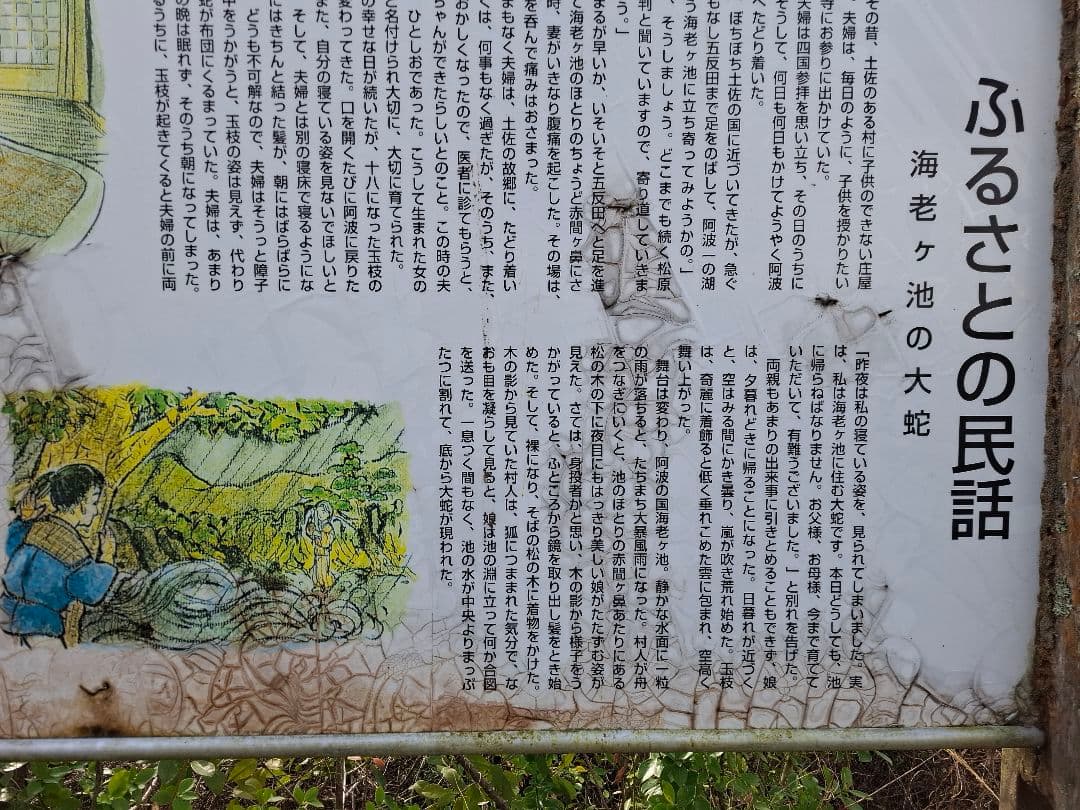 油絵　海老ヶ池　『えびがいけ 』昔話P50