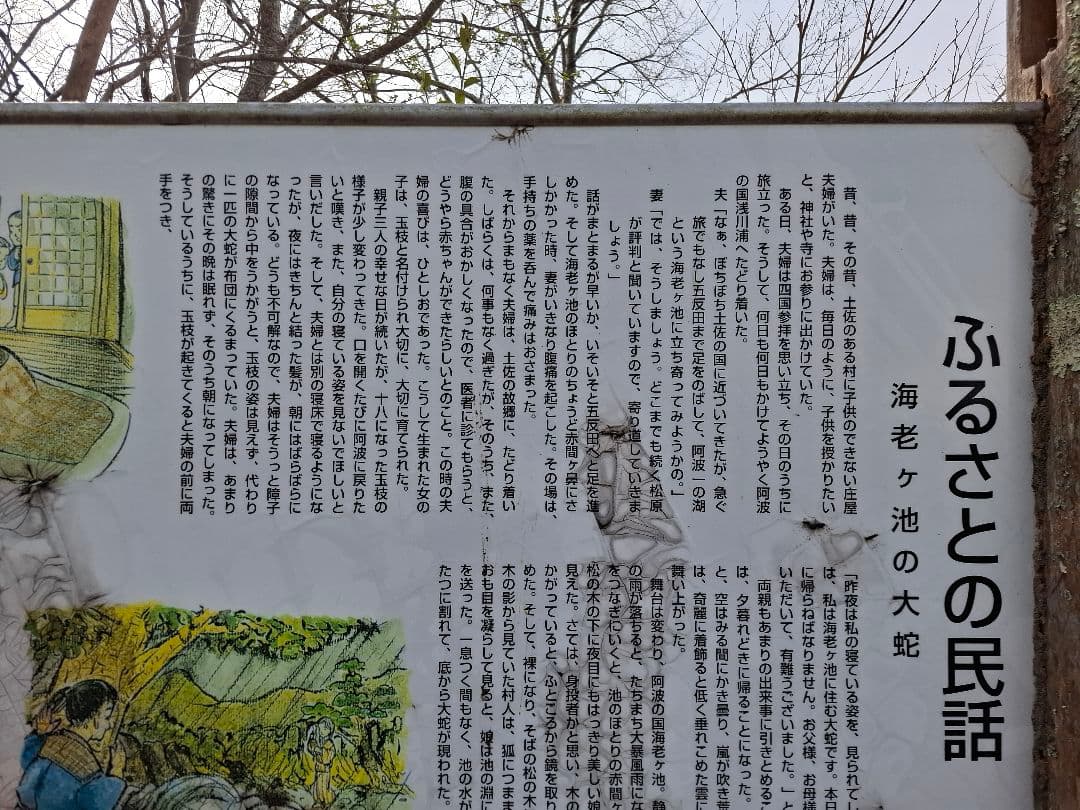 油絵　海老ヶ池　『えびがいけ 』昔話P50