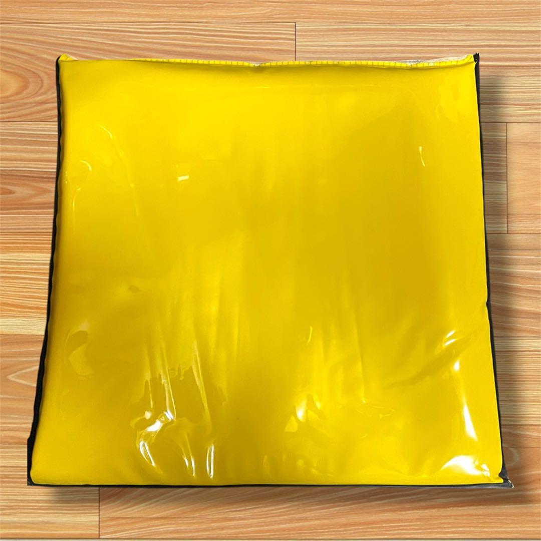 【激レア非売品】美品 レコードバッグ TOSHIBA EMI ヴィンテージ