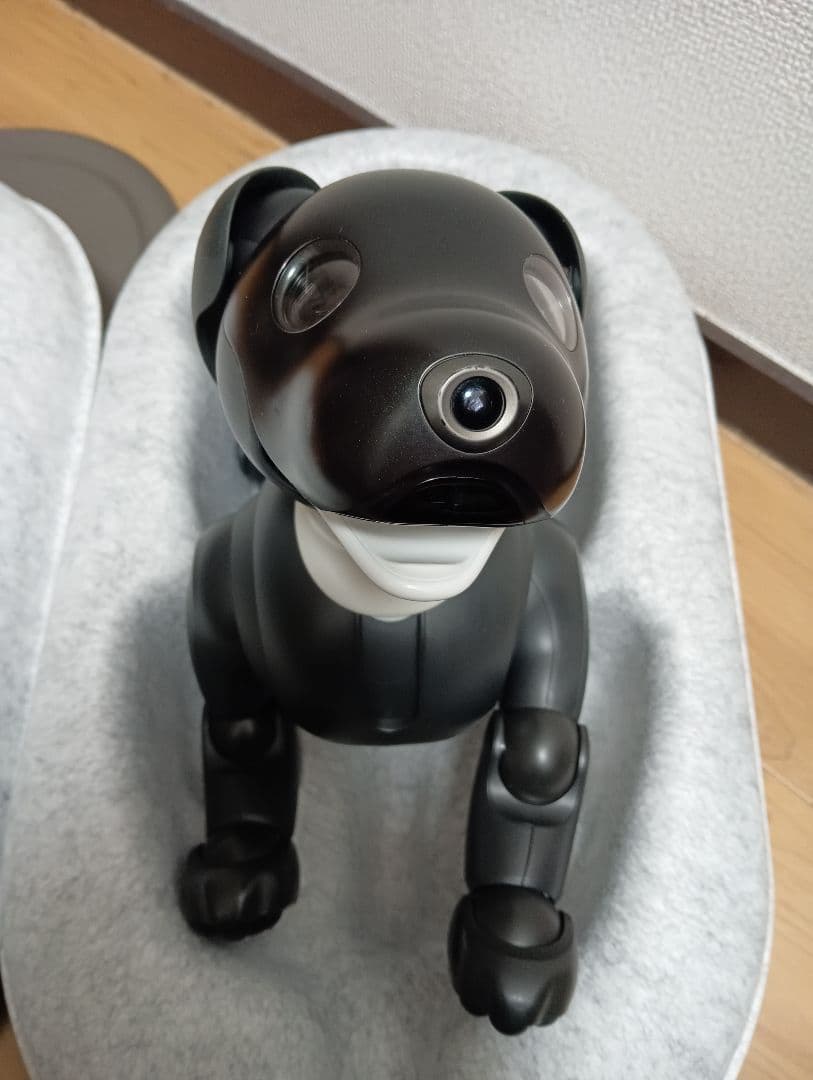 aibo　エスプレッソ　本体　中古品　※本文必読