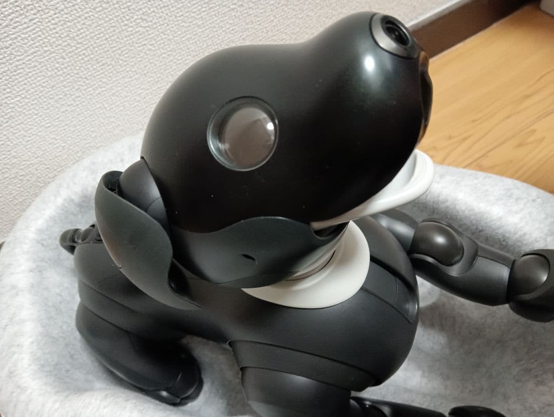 aibo　エスプレッソ　本体　中古品　※本文必読