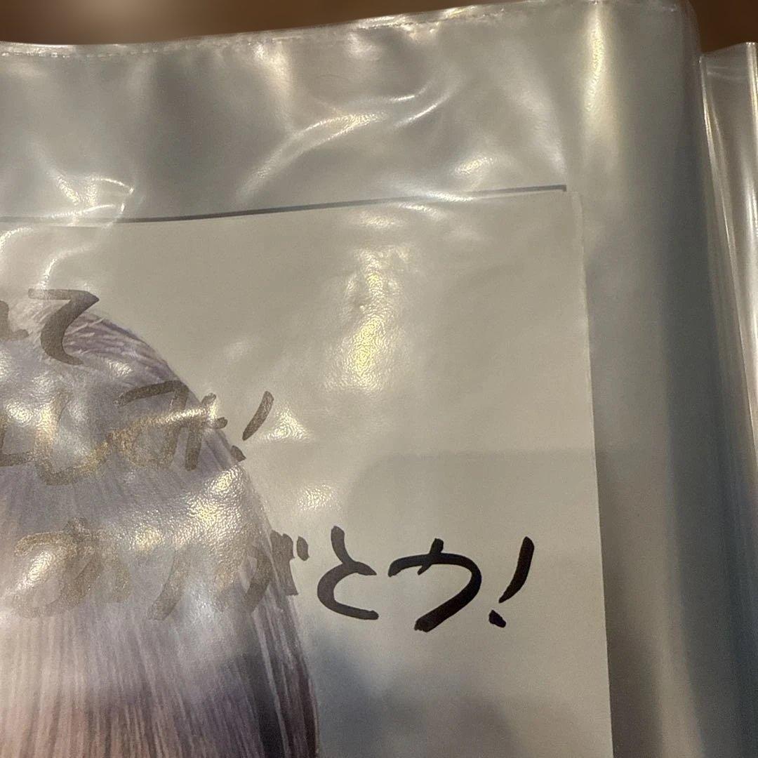 =LOVE 佐々木舞香 直筆サイン入り写真