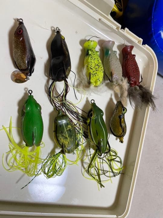 フロッグセット