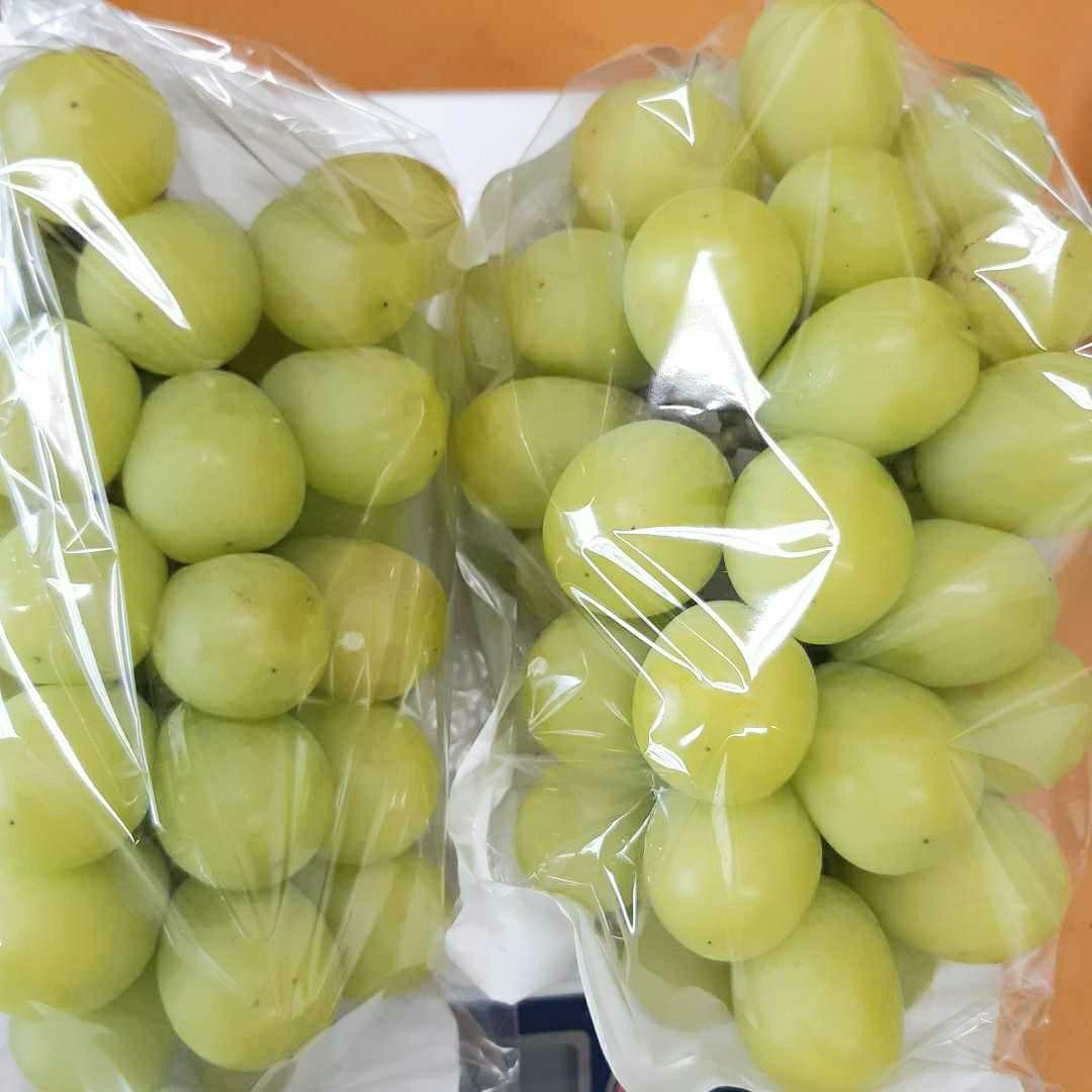 シャインマスカット秀品5キロ入り