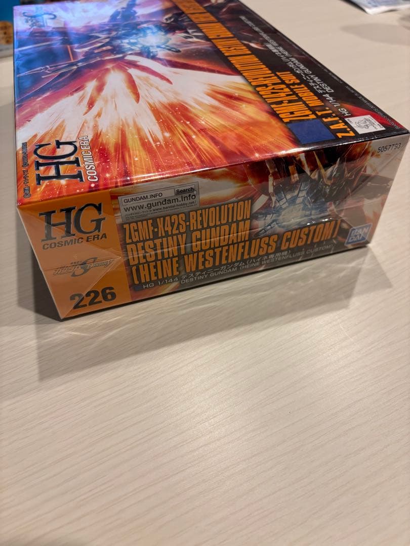【値引き交渉⭕️】HG1/144デスティニーガンダム ハイネ専用機