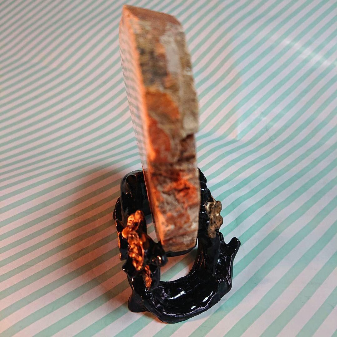 綺麗な化石 天然木 化玉原石