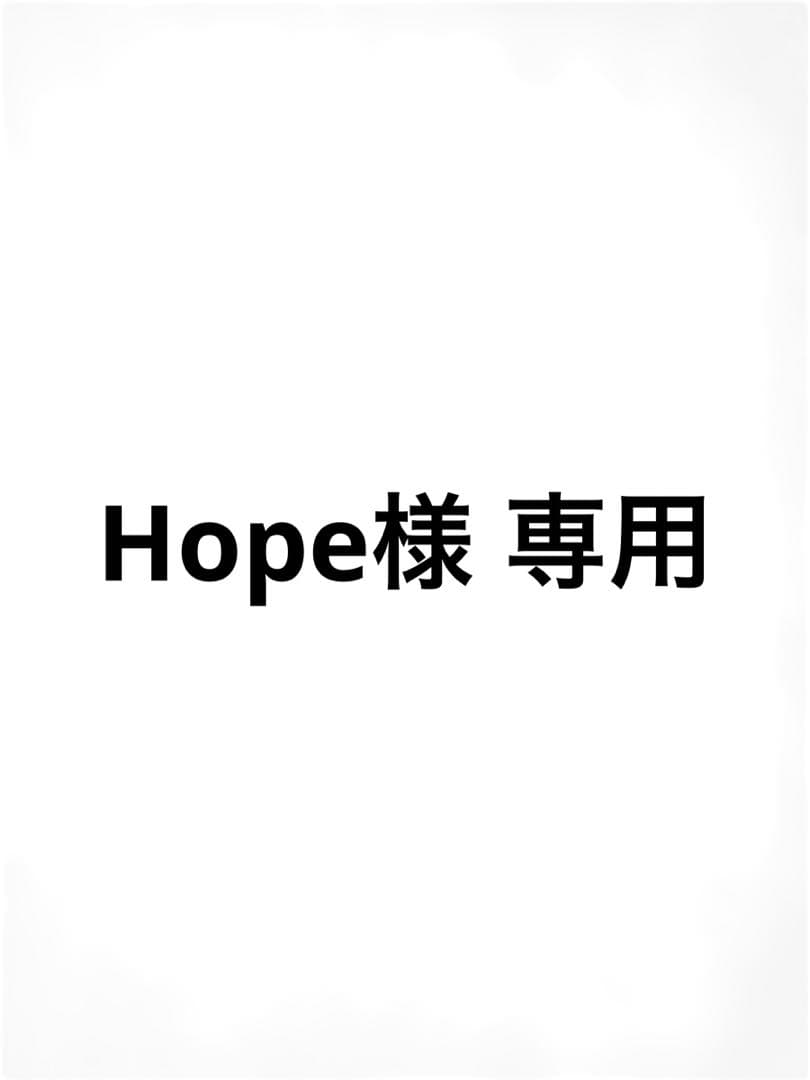 Hope 昭和の歴史 限定版美術メダル 5個まとめ売り