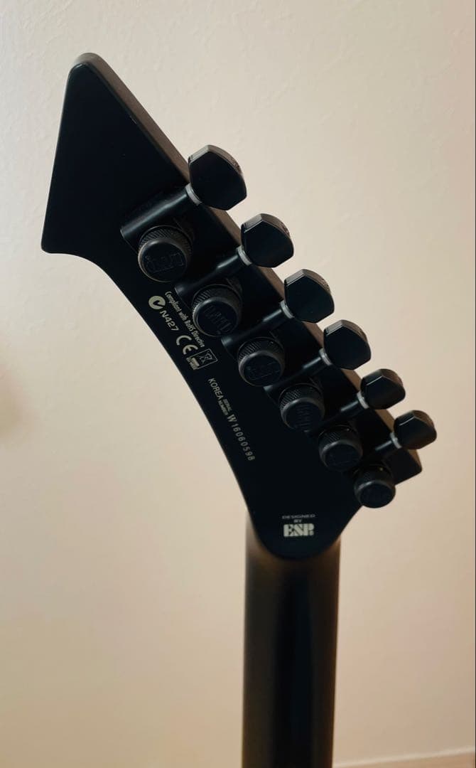 ESP LTD Vulture James Hetfield シグネチャーモデル