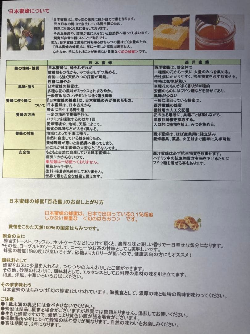 日本ミツバチの生蜂蜜 ５００g X２本 送料無料‼️