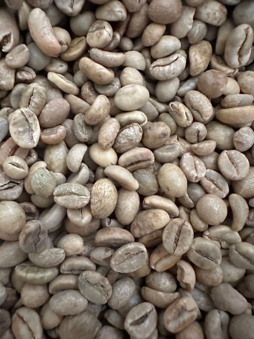 コーヒー生豆/おまかせ5種10kg